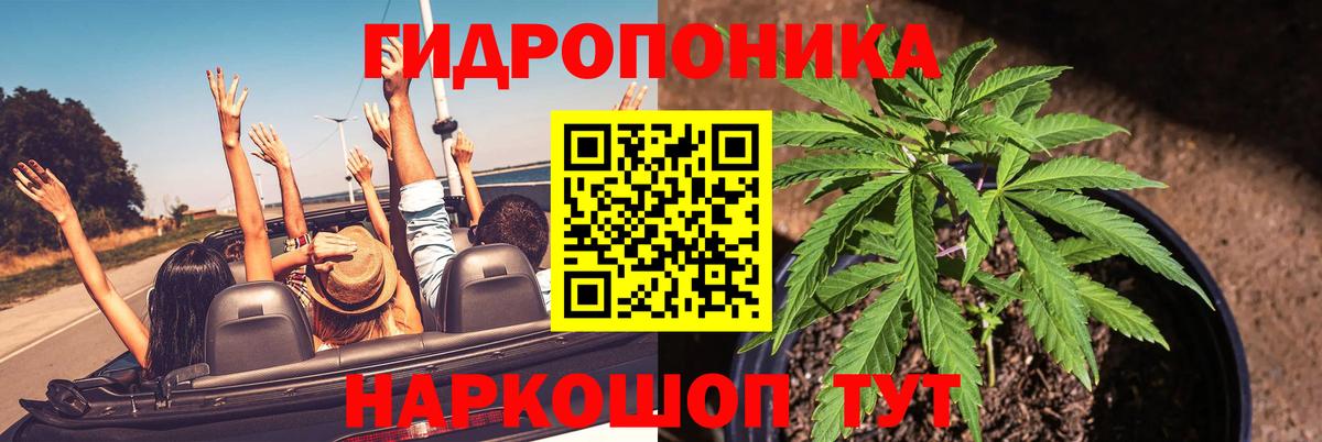 Шишки марихуана марихуана  Вход с VPN  Курган  Конопля VHQ  Канабис сатива 